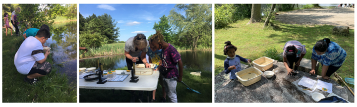 Children collecting water samples, using microscopes, and identifying aquatic insects