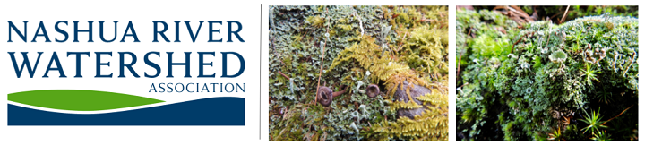 NRWA logo and images of moss and lichen