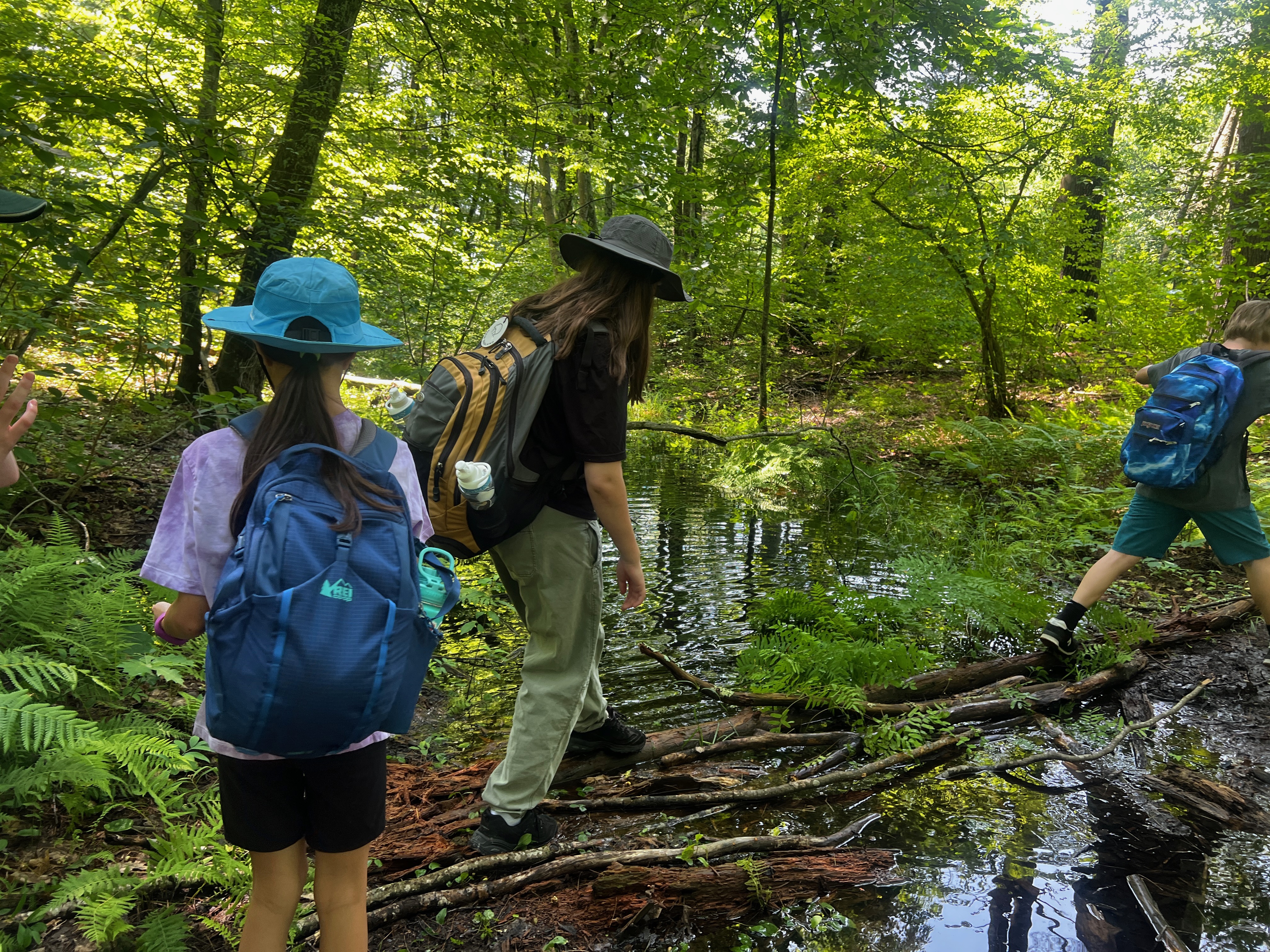 Young people hiking and crossing small stream