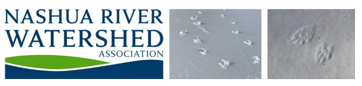 left to right: NRWA logo, deer tracks in snow, racoon tracks in snow